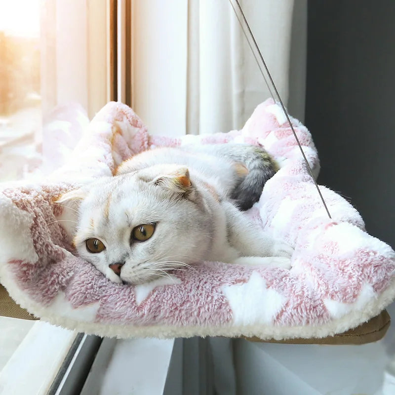 Cat Hammock Window