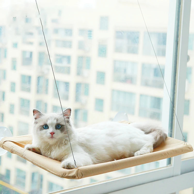 Cat Hammock Window