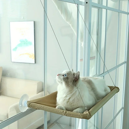 Cat Hammock Window