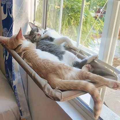 Cat Hammock Window